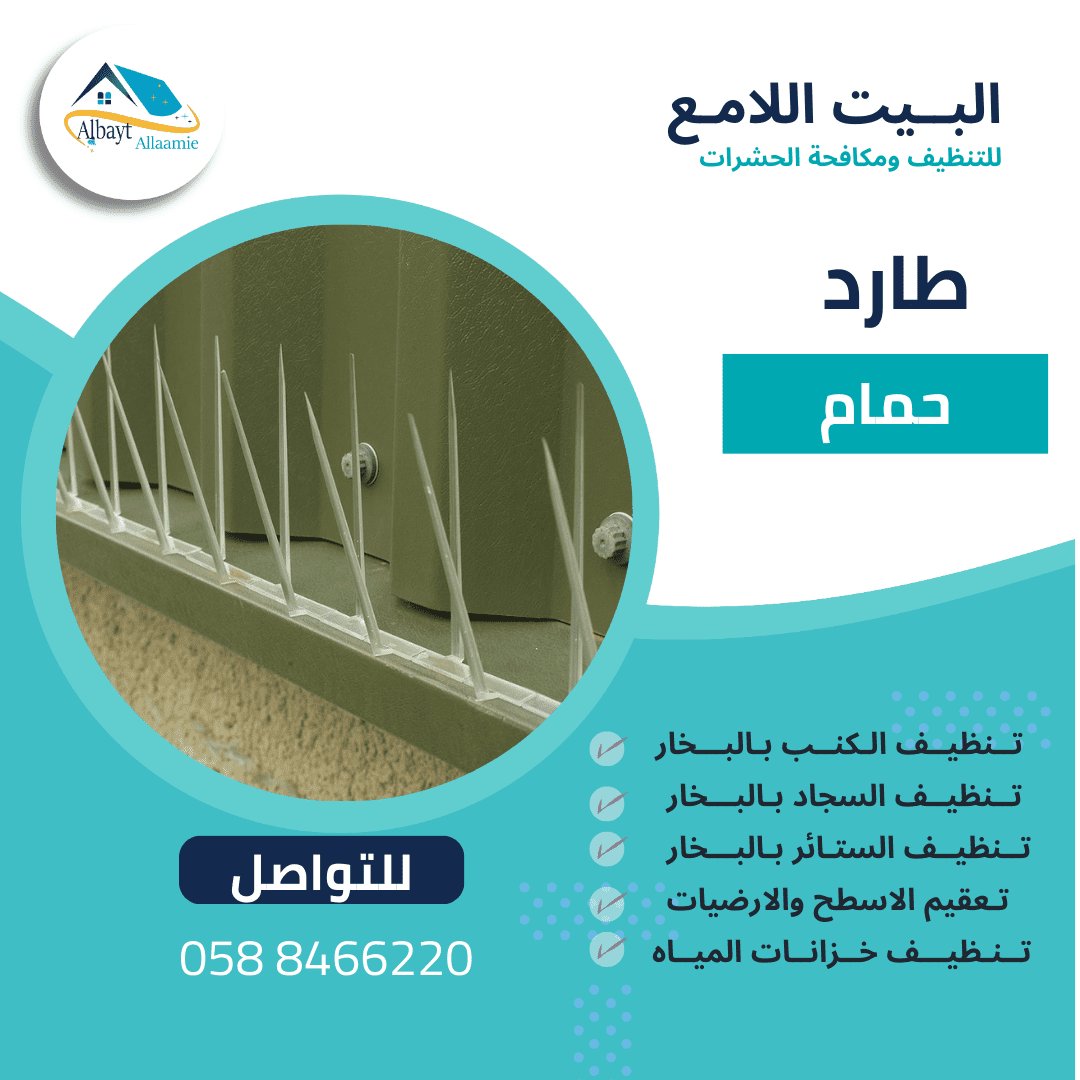 أشكال طارد الحمام في العين