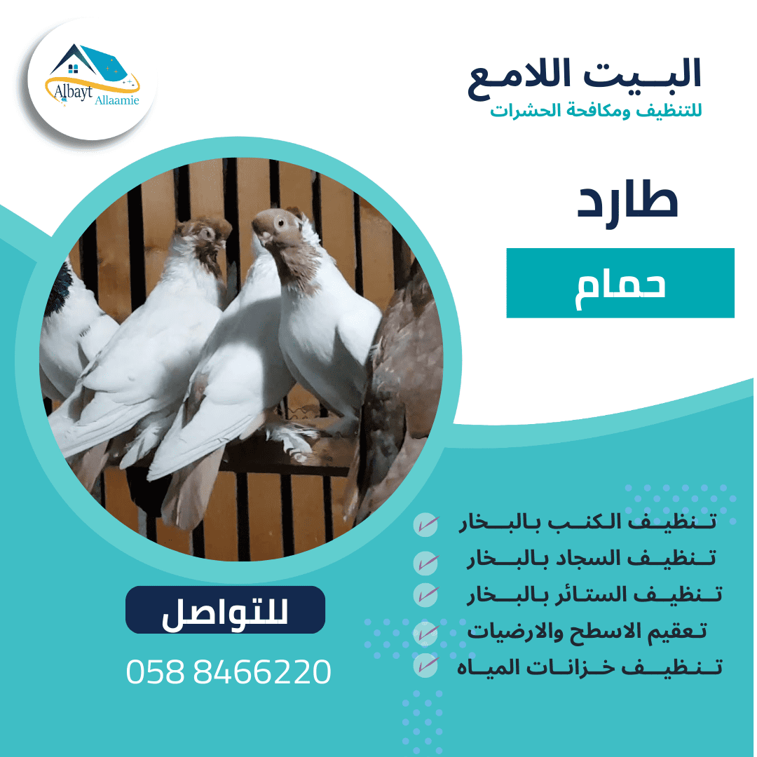 أفضل شركة تركيب طارد حمام في العين